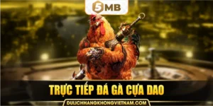 trực tiếp đá gà cựa dao