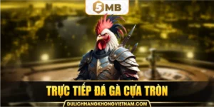 trực tiếp đá gà cựa tròn