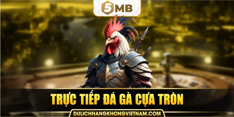 trực tiếp đá gà cựa tròn